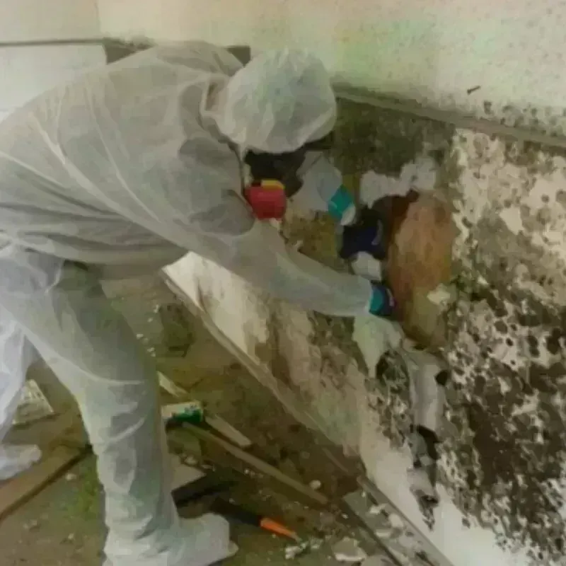 Mold Remediation and Removal in Mountain Lake Park, MD