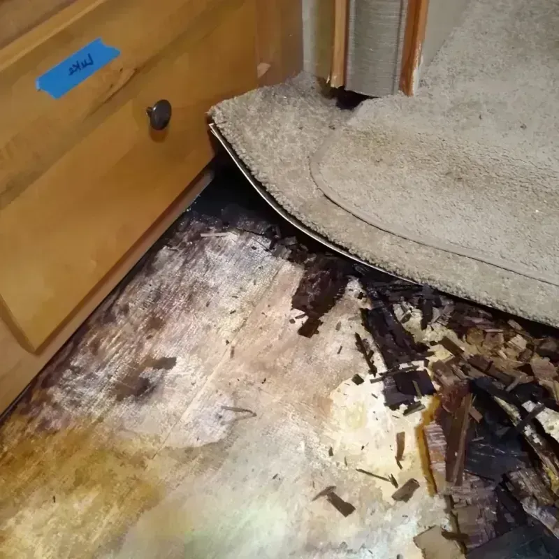 Best Wood Floor Water Damage Service in Mountain Lake Park, MD